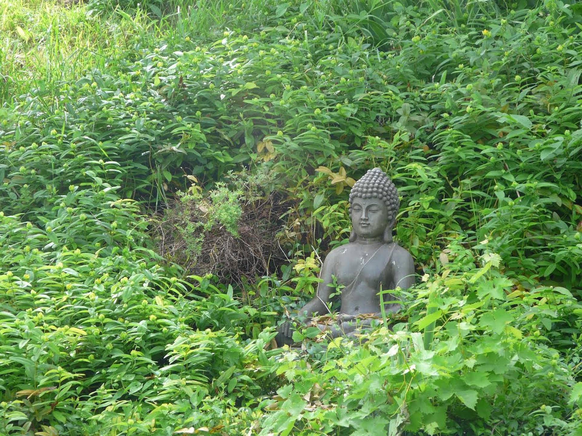 - image: 11