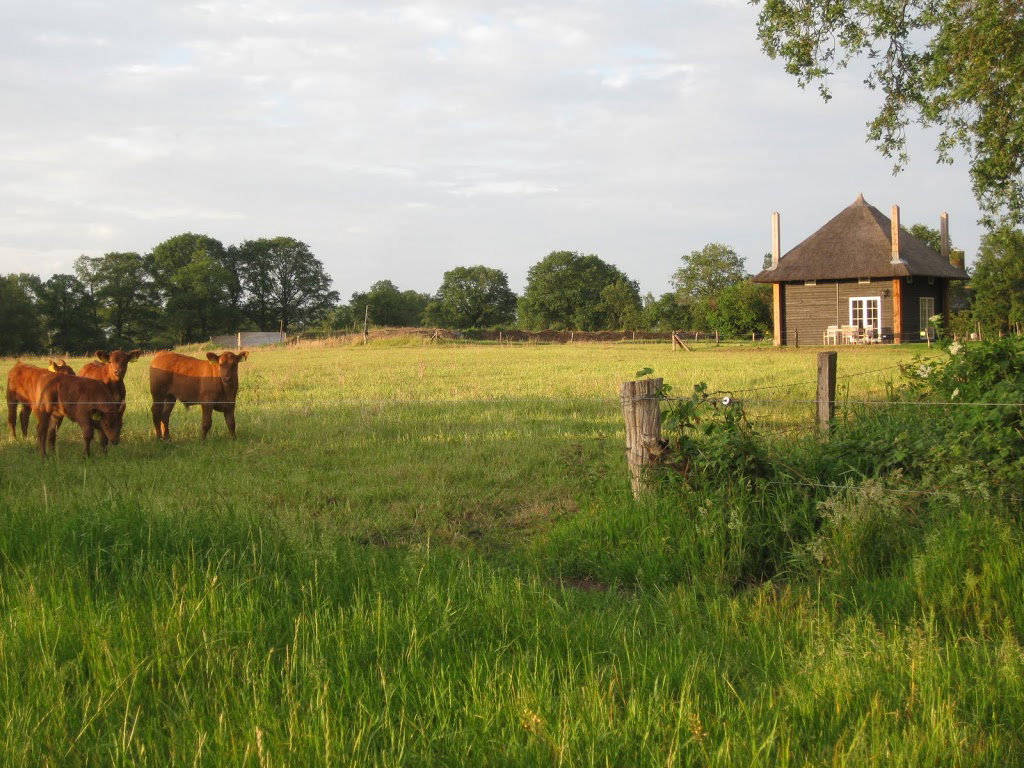 Maison nature à Wierden