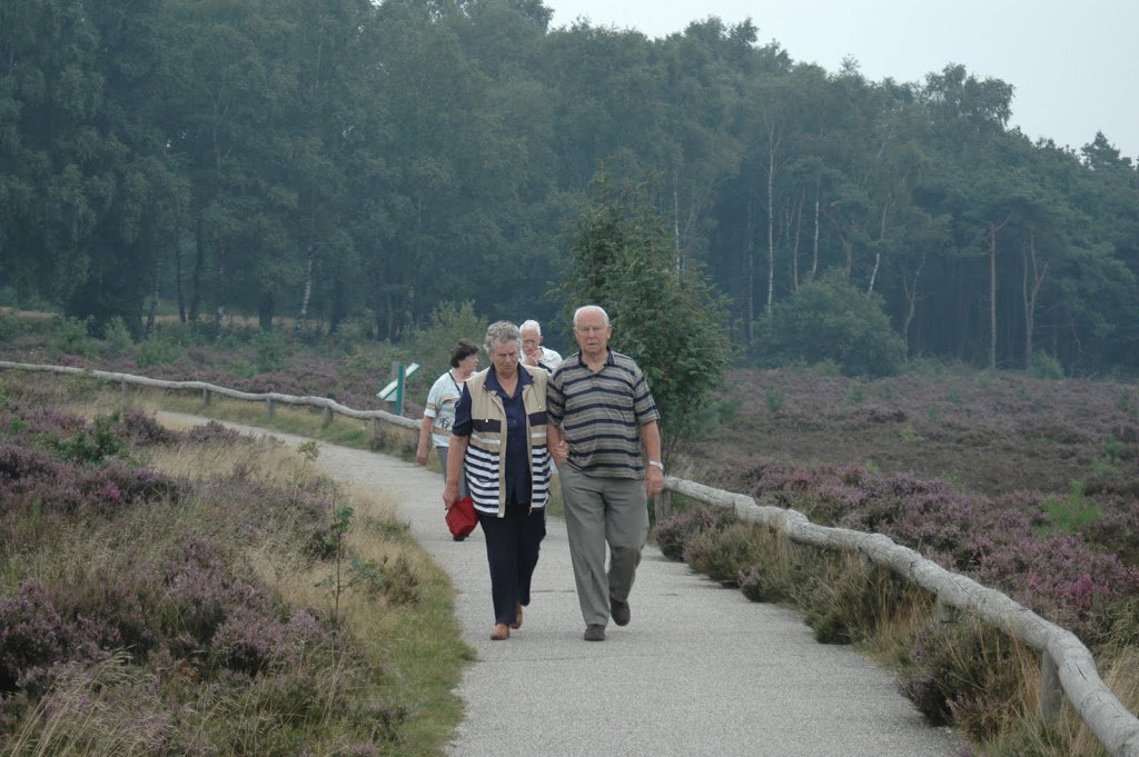 Maison nature à Wierden