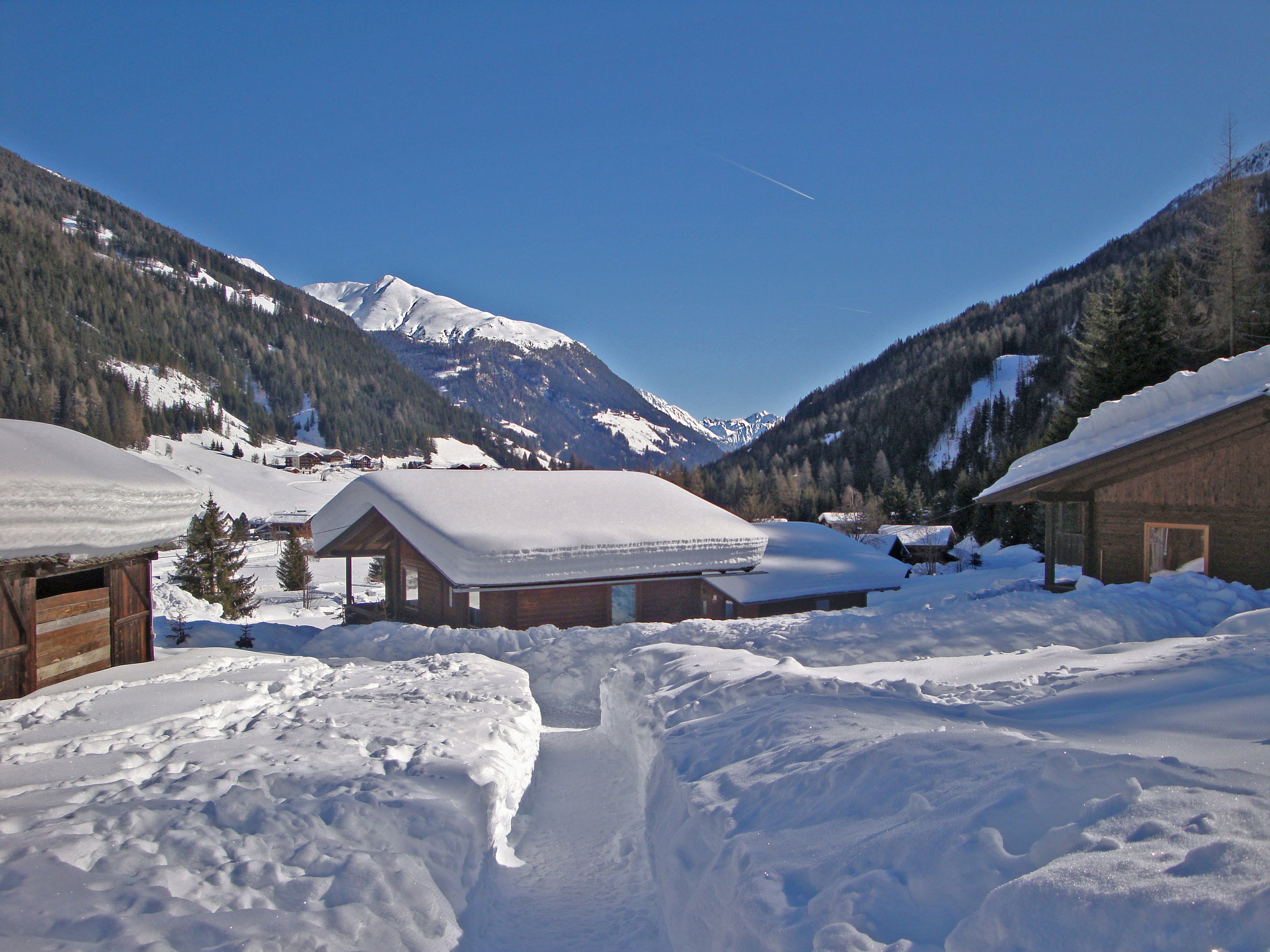 - image: 12