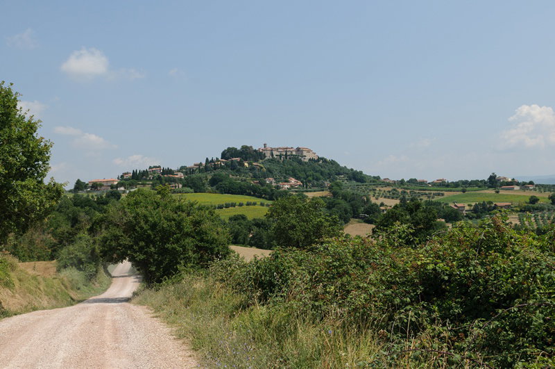 - image: 16
