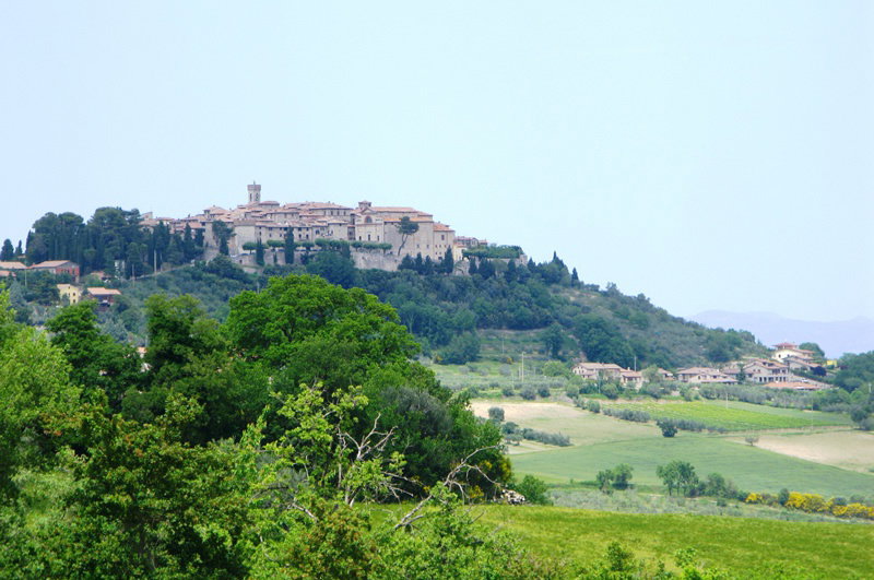 - image: 15