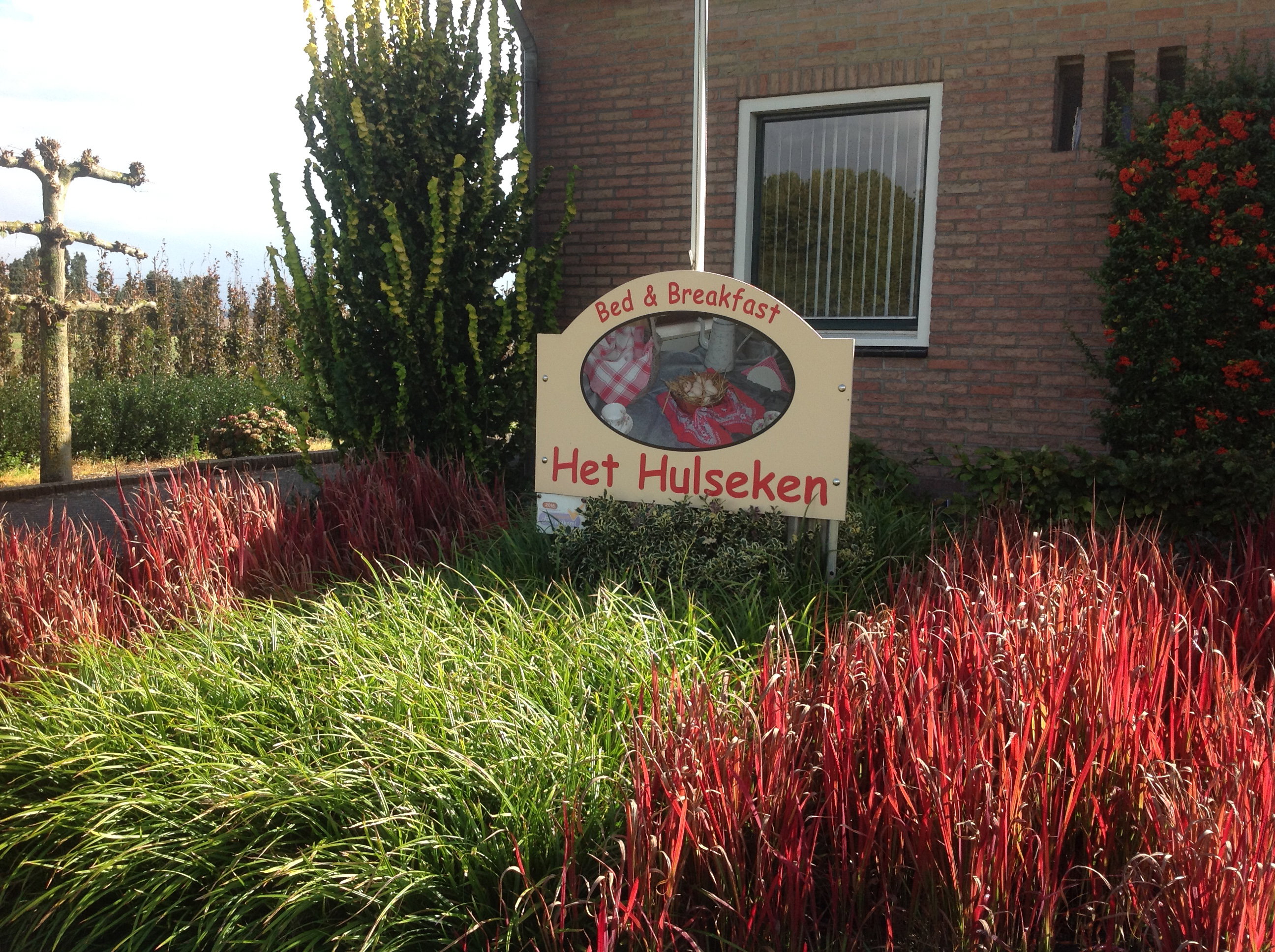 Naturhäuschen in Nederweert_Eind