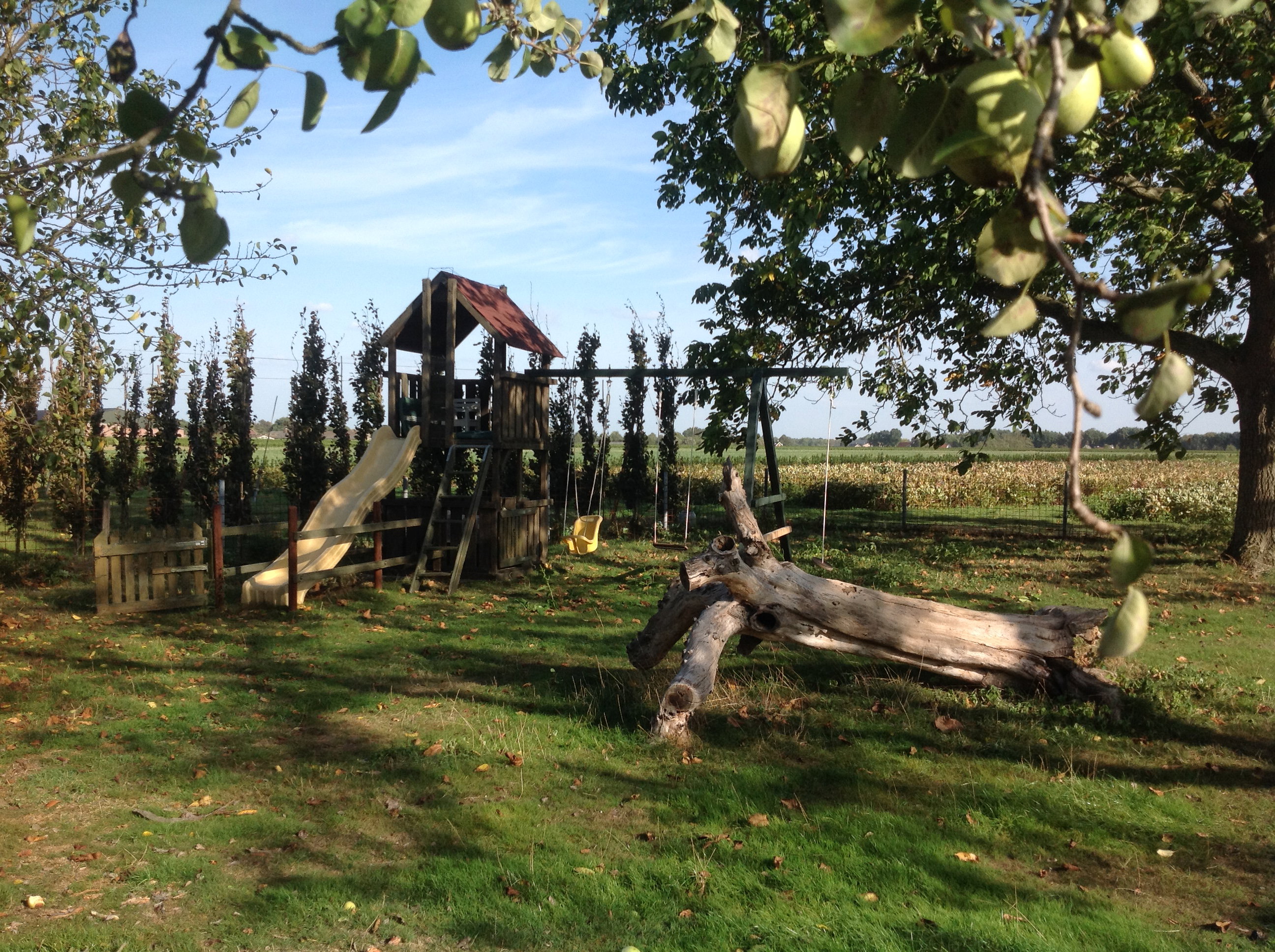 Naturhäuschen in Nederweert_Eind