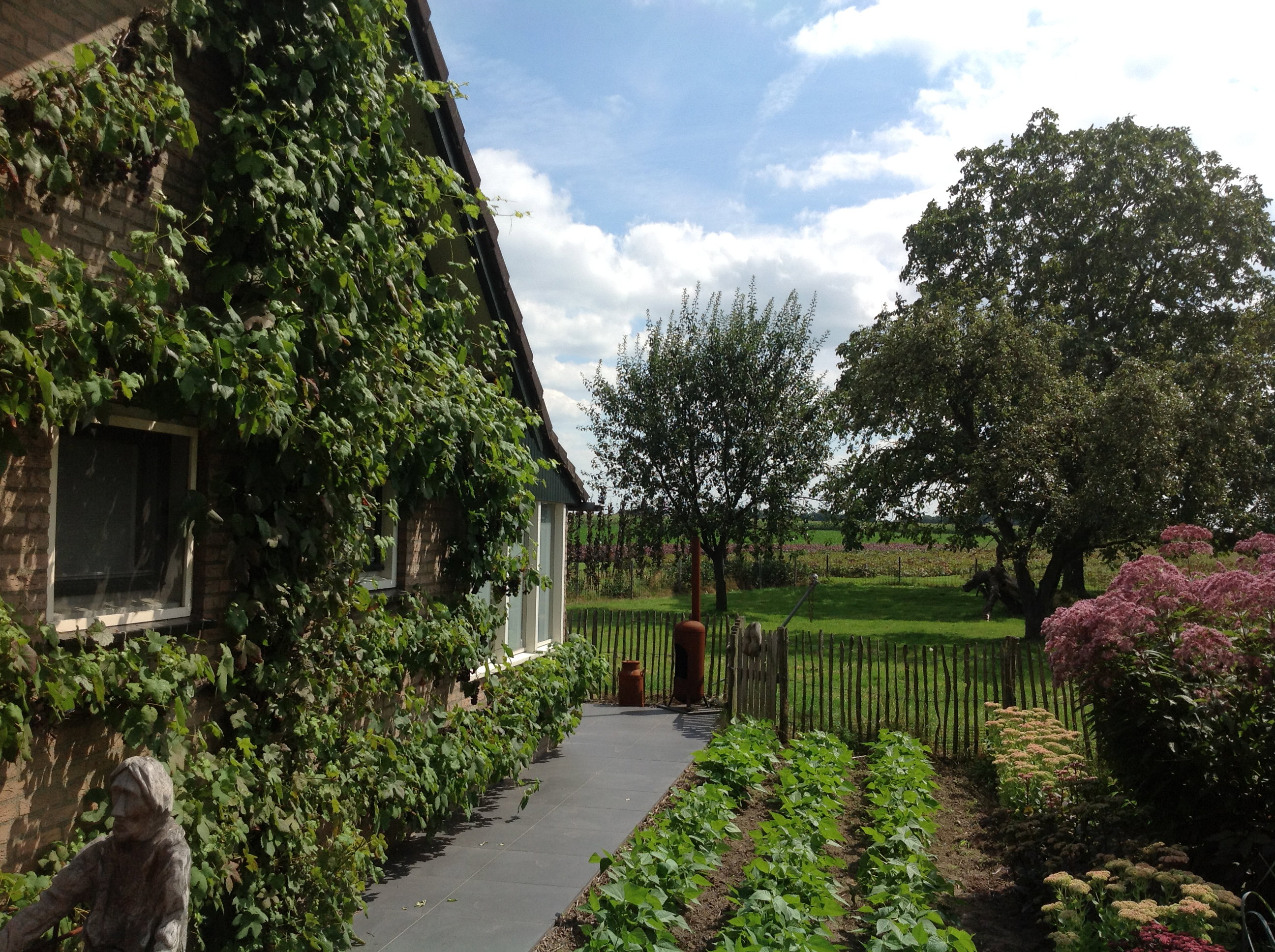 Naturhäuschen in Nederweert_Eind