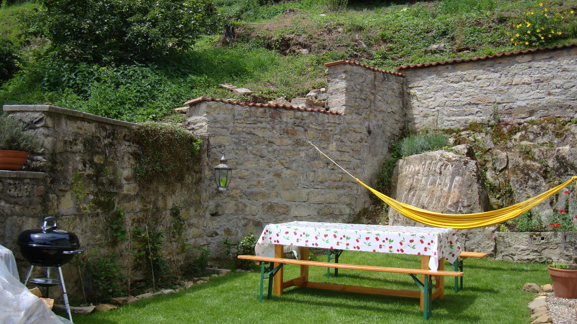 - image: 12