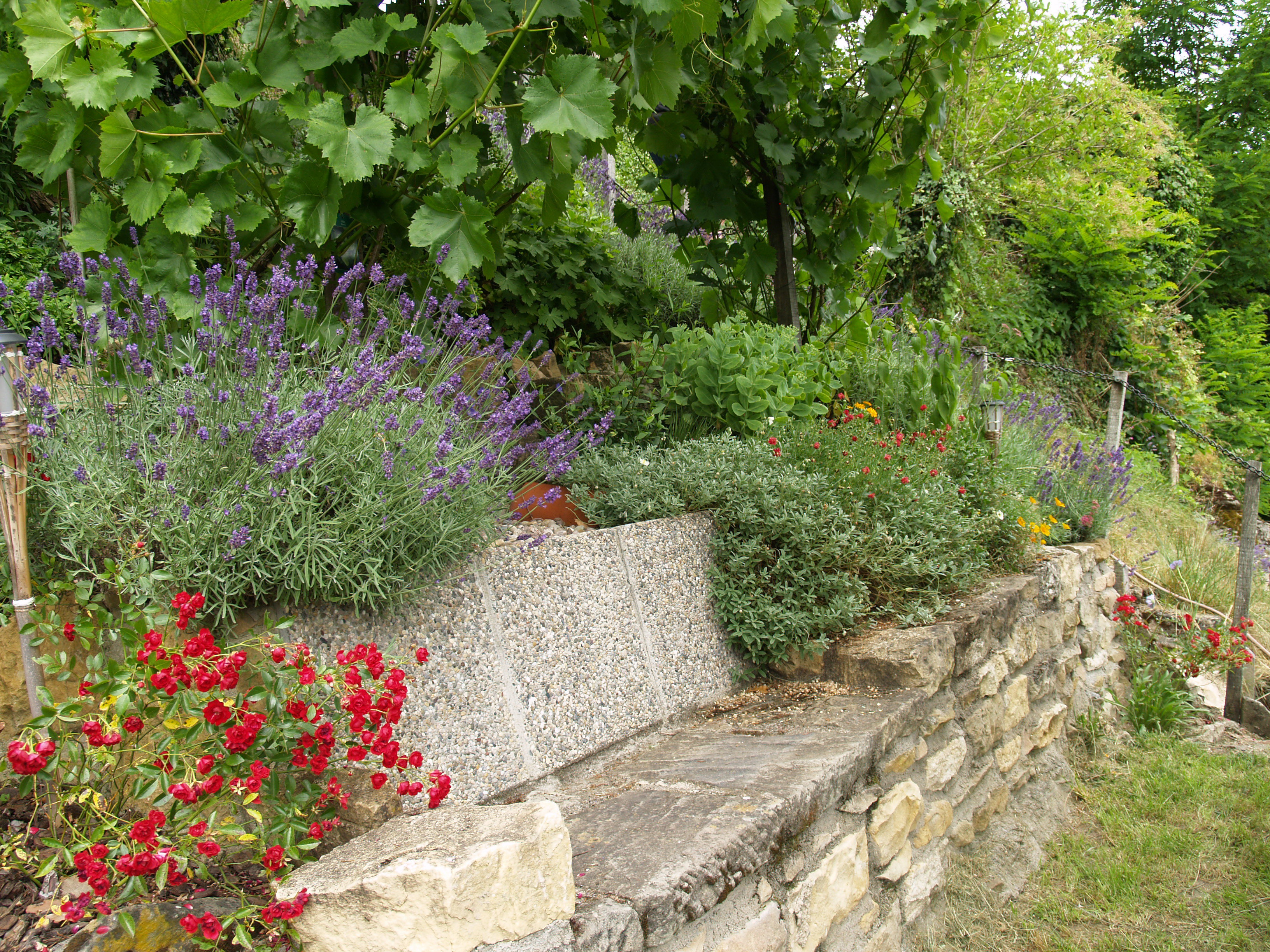 - image: 15