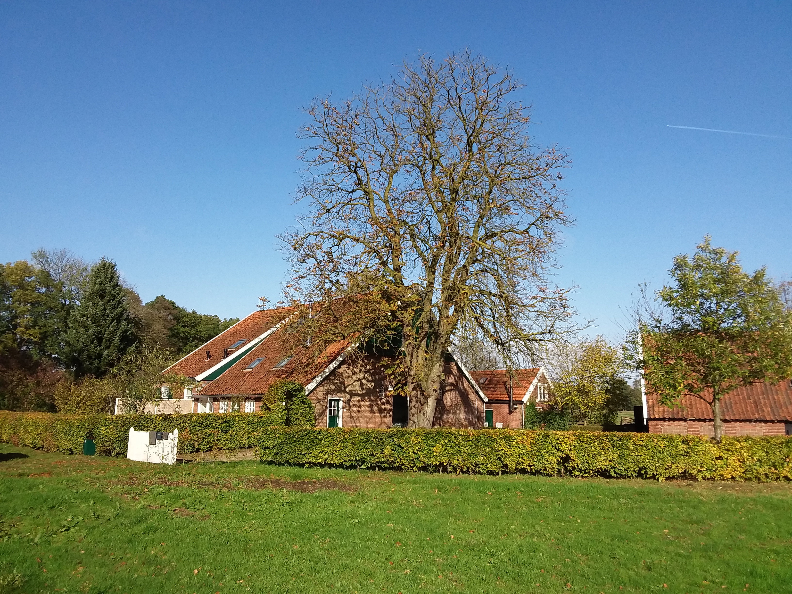 Maison nature à Winterswijk Brinkheurne