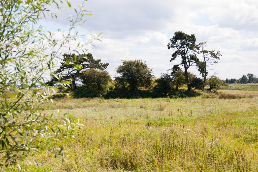 Maison nature à Weesp