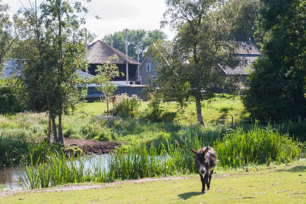 Maison nature à Weesp