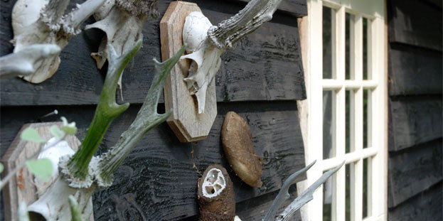 Maison nature à Oeffelt