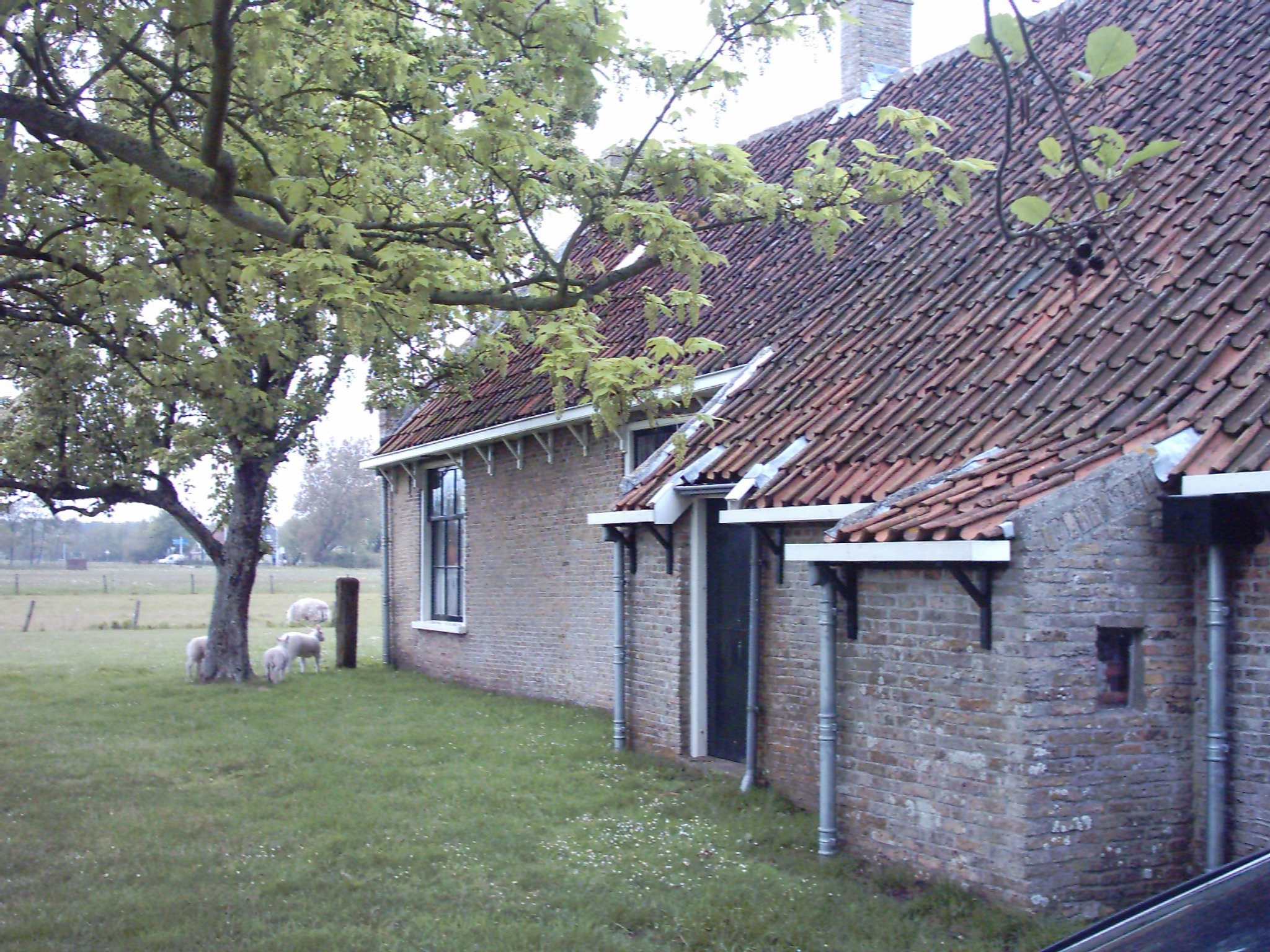- image: 27