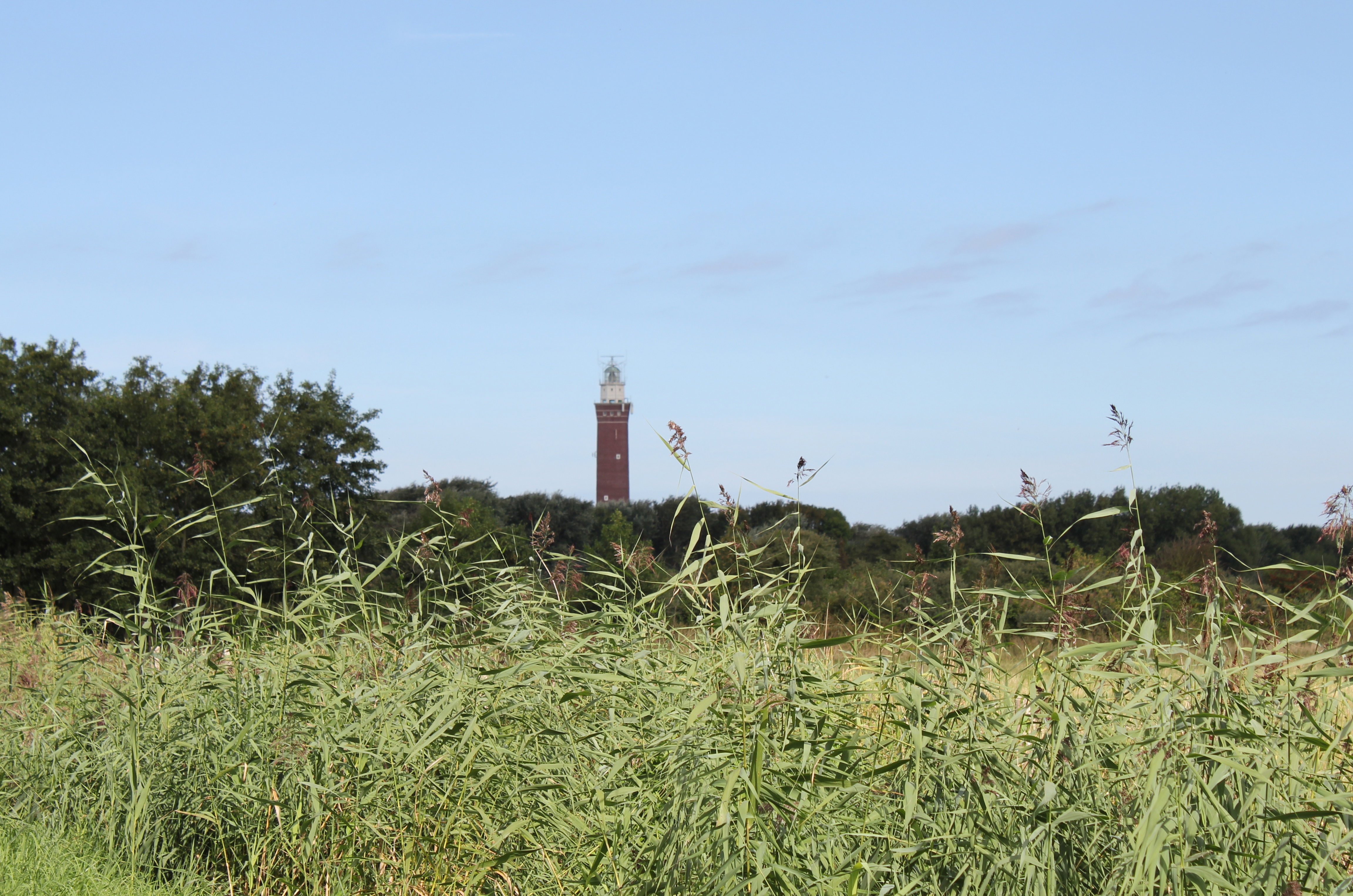 Maison nature à Ouddorp