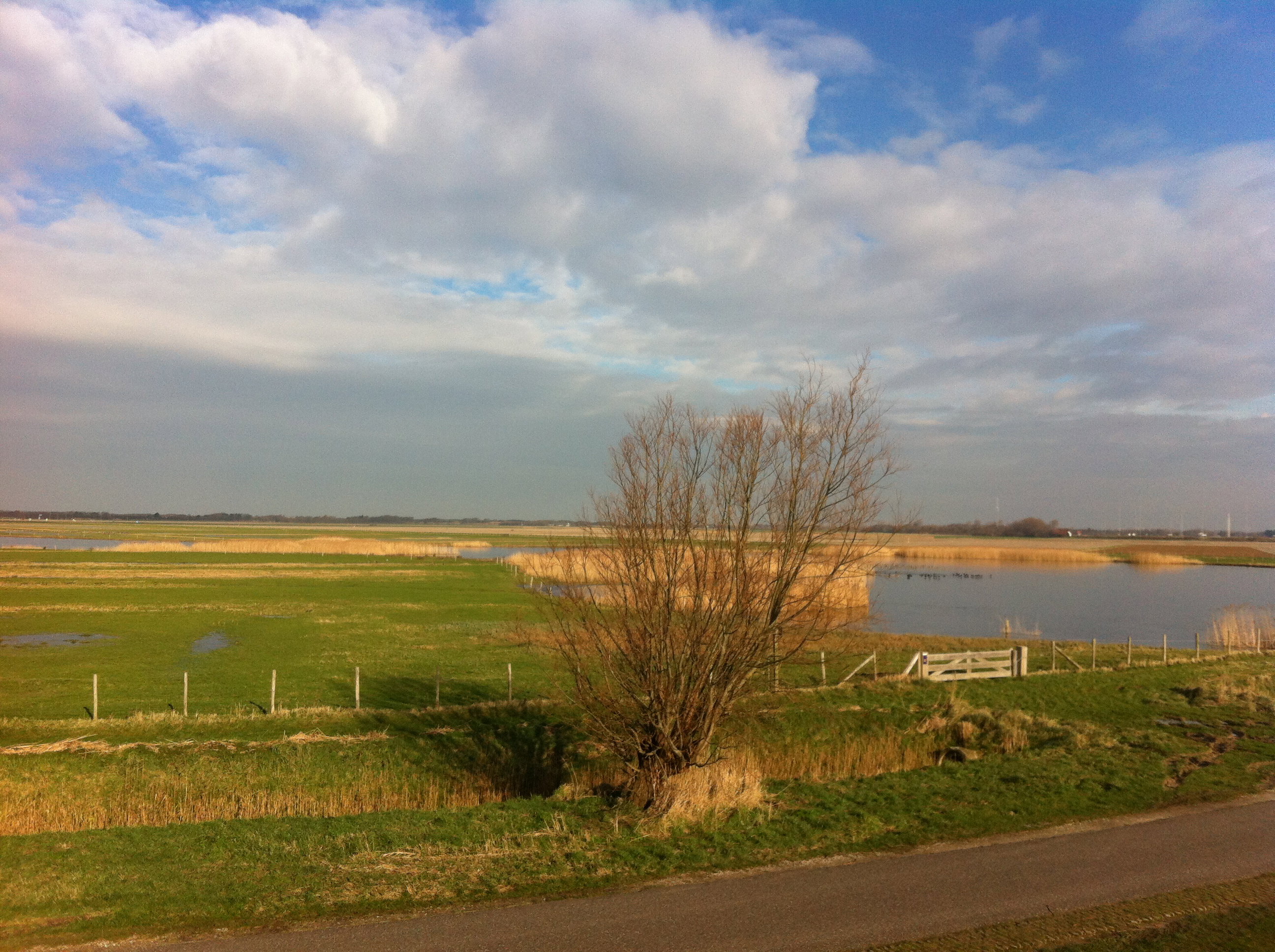 Maison nature à Ouddorp