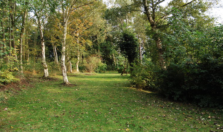 - image: 13