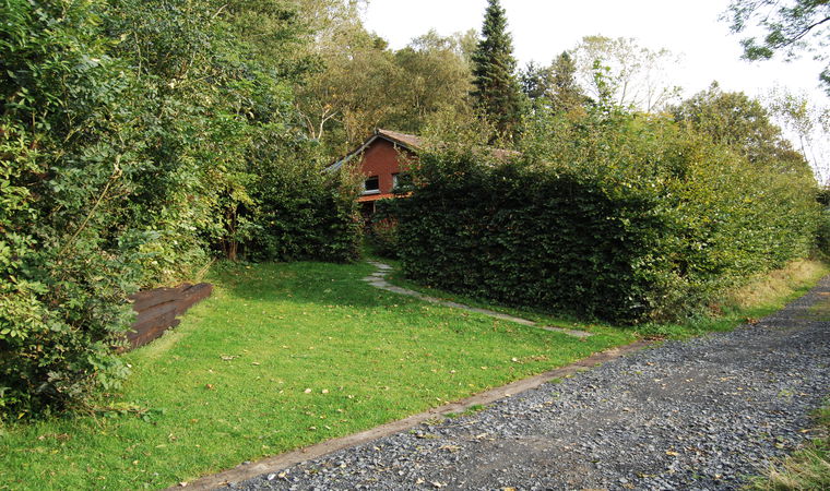 - image: 12