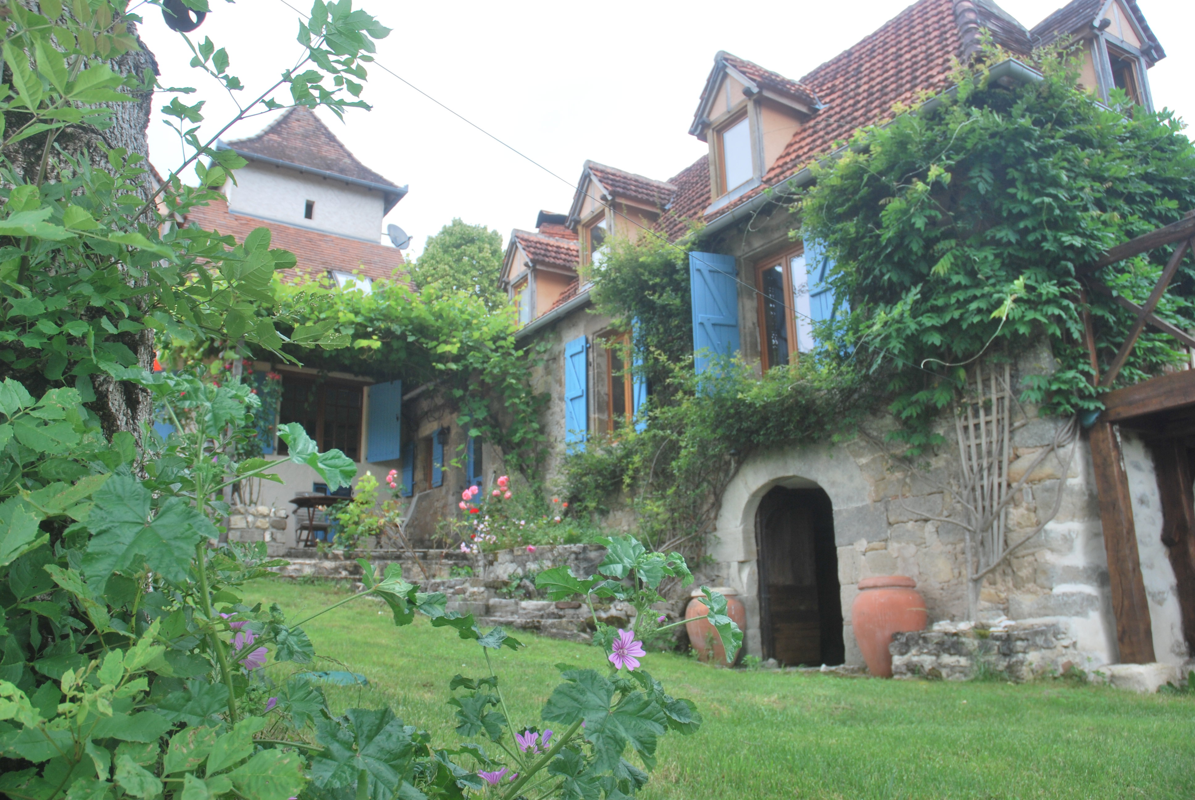 - image: 1