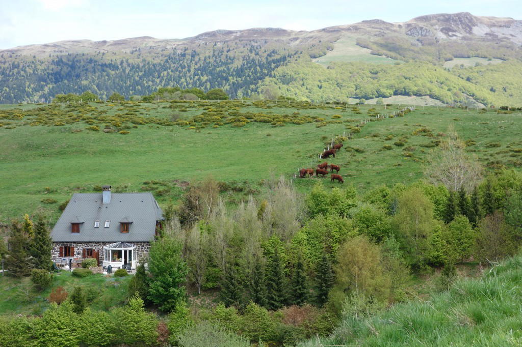 Nature house in Le Claux