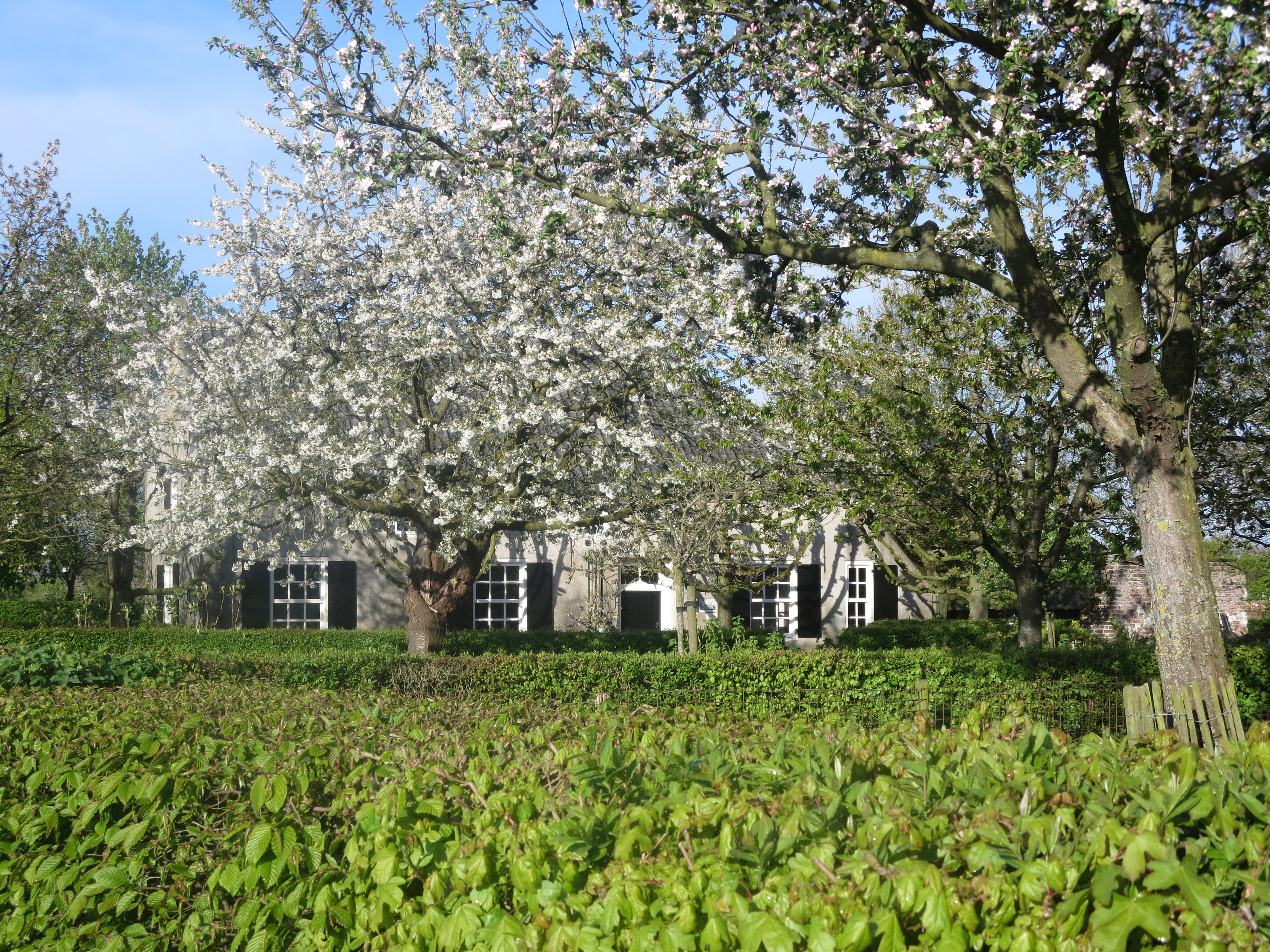 Maison nature à Oeffelt