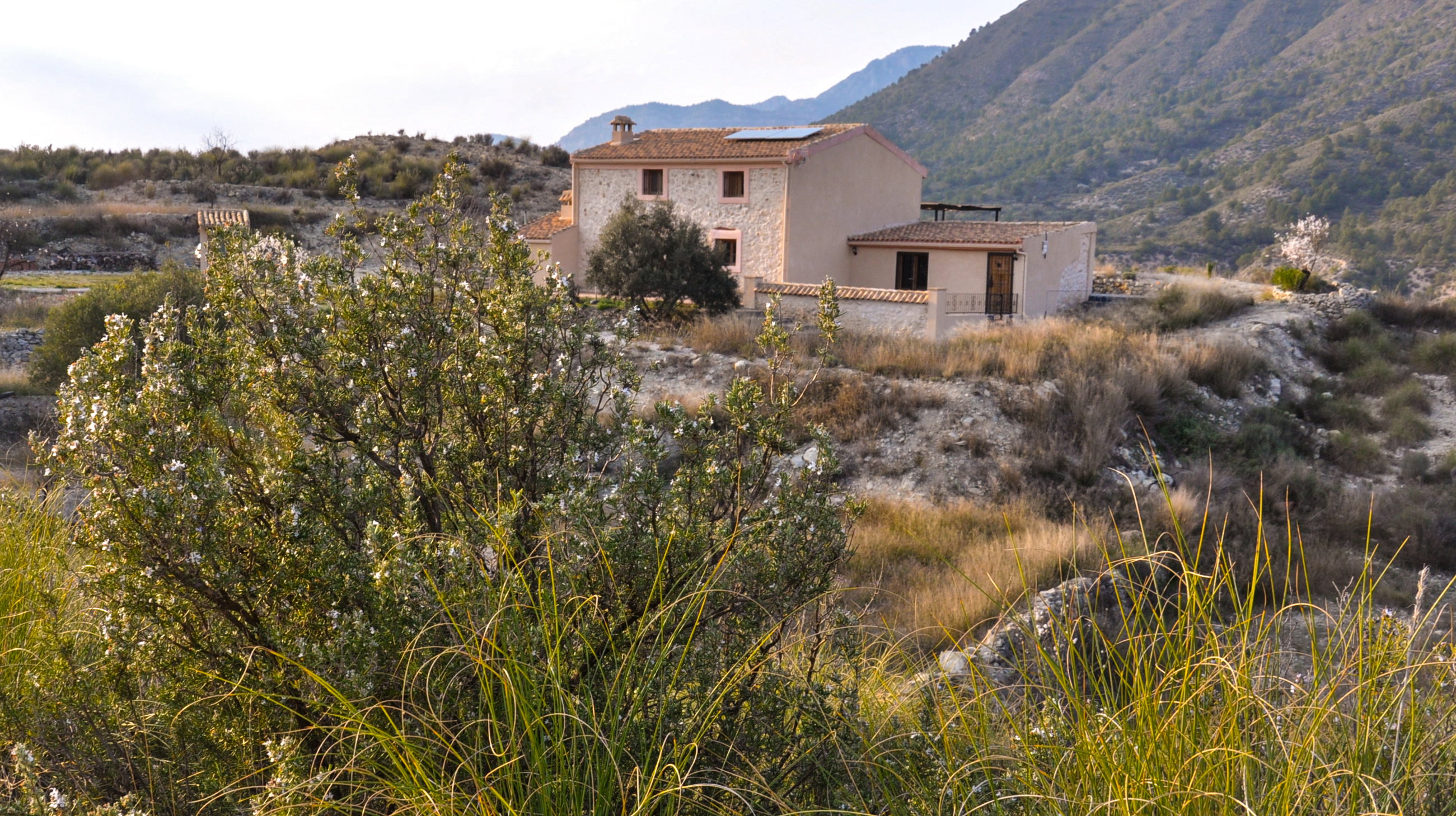 Maison nature à Campo de Ricote