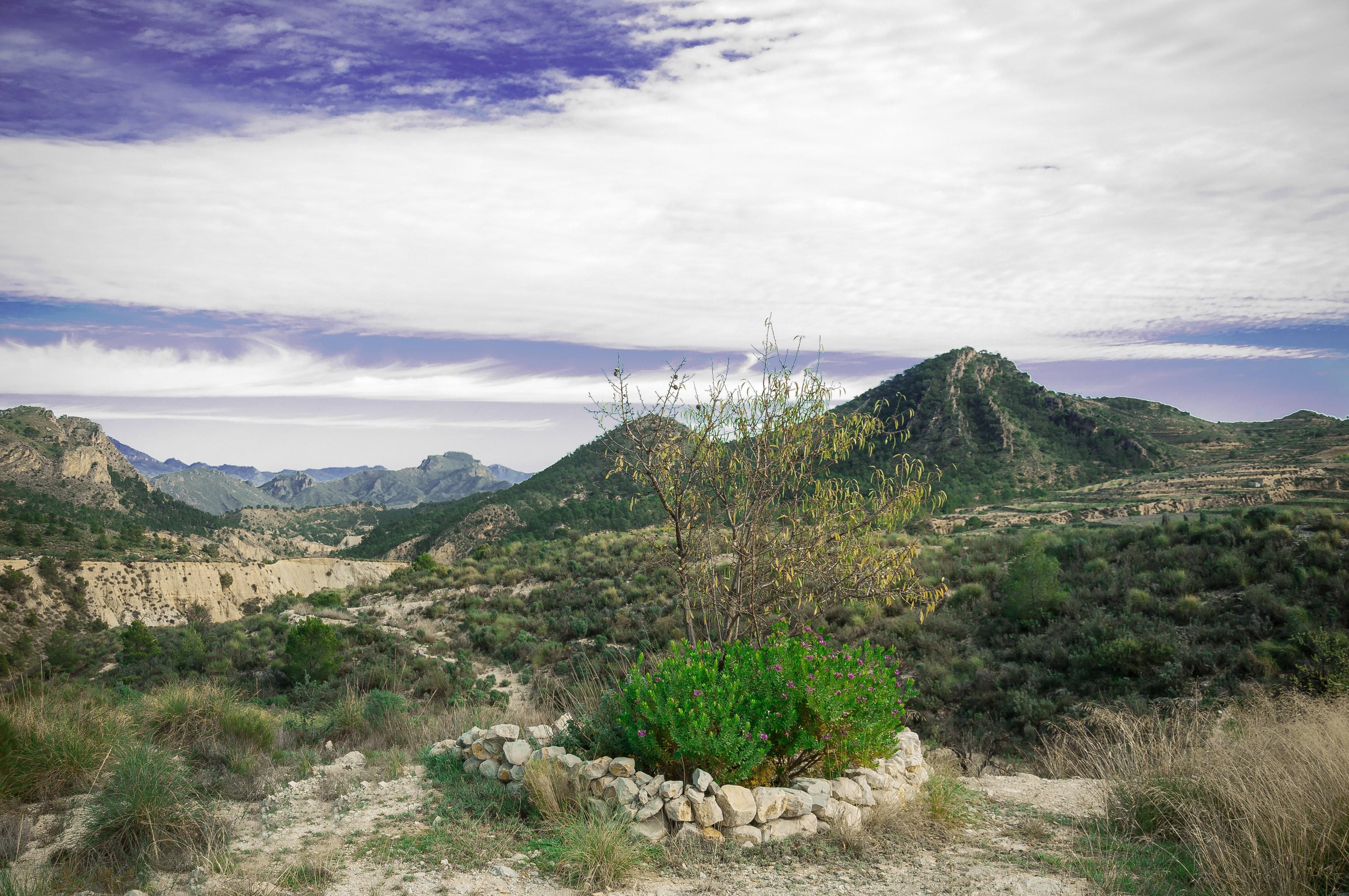 - image: 25