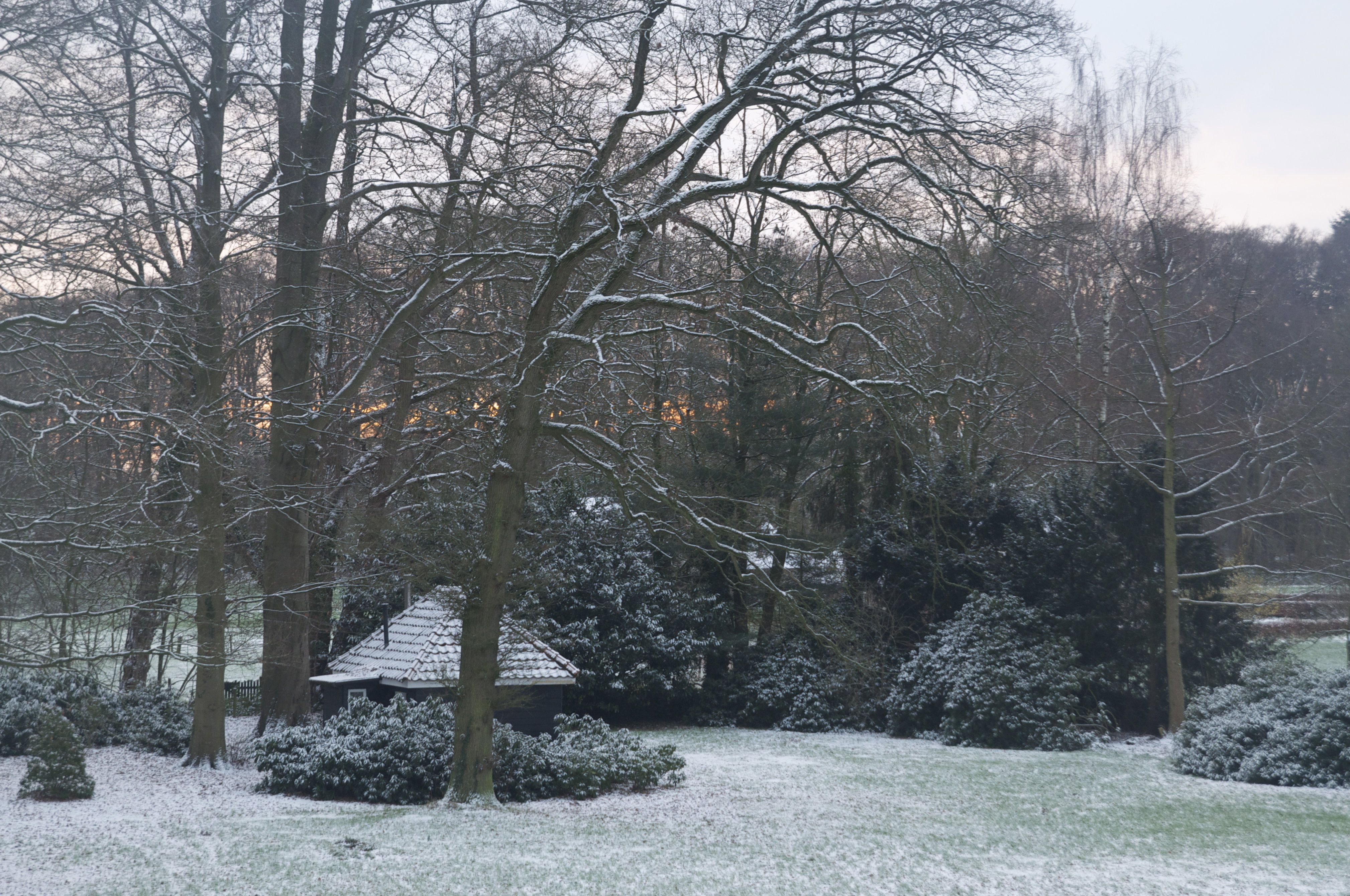 Maison nature à Vorden