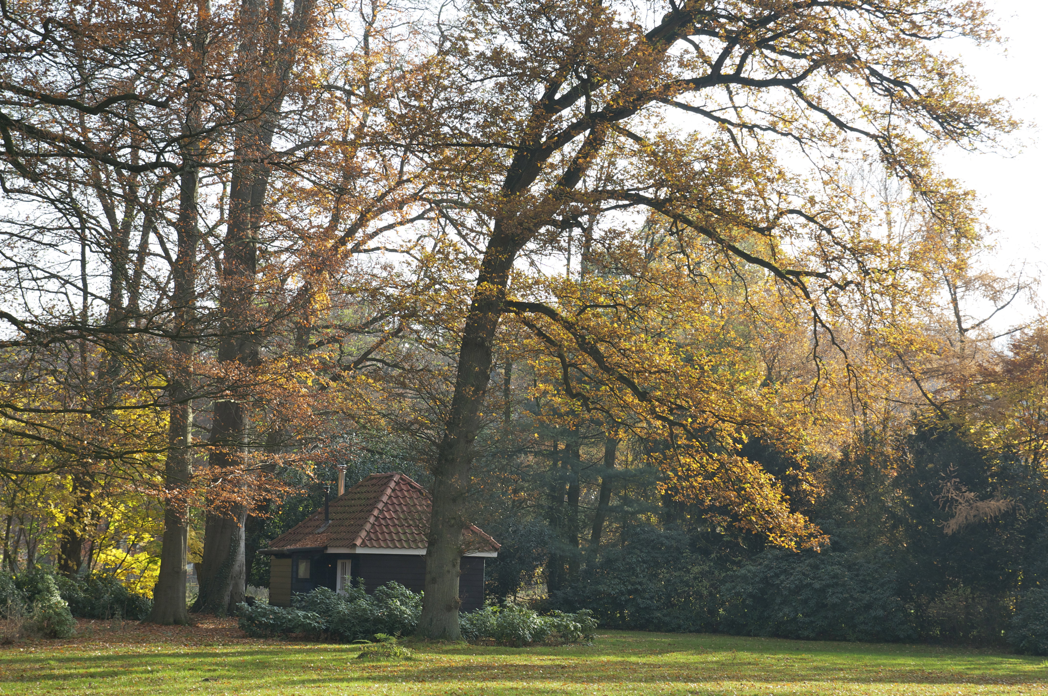Maison nature à Vorden