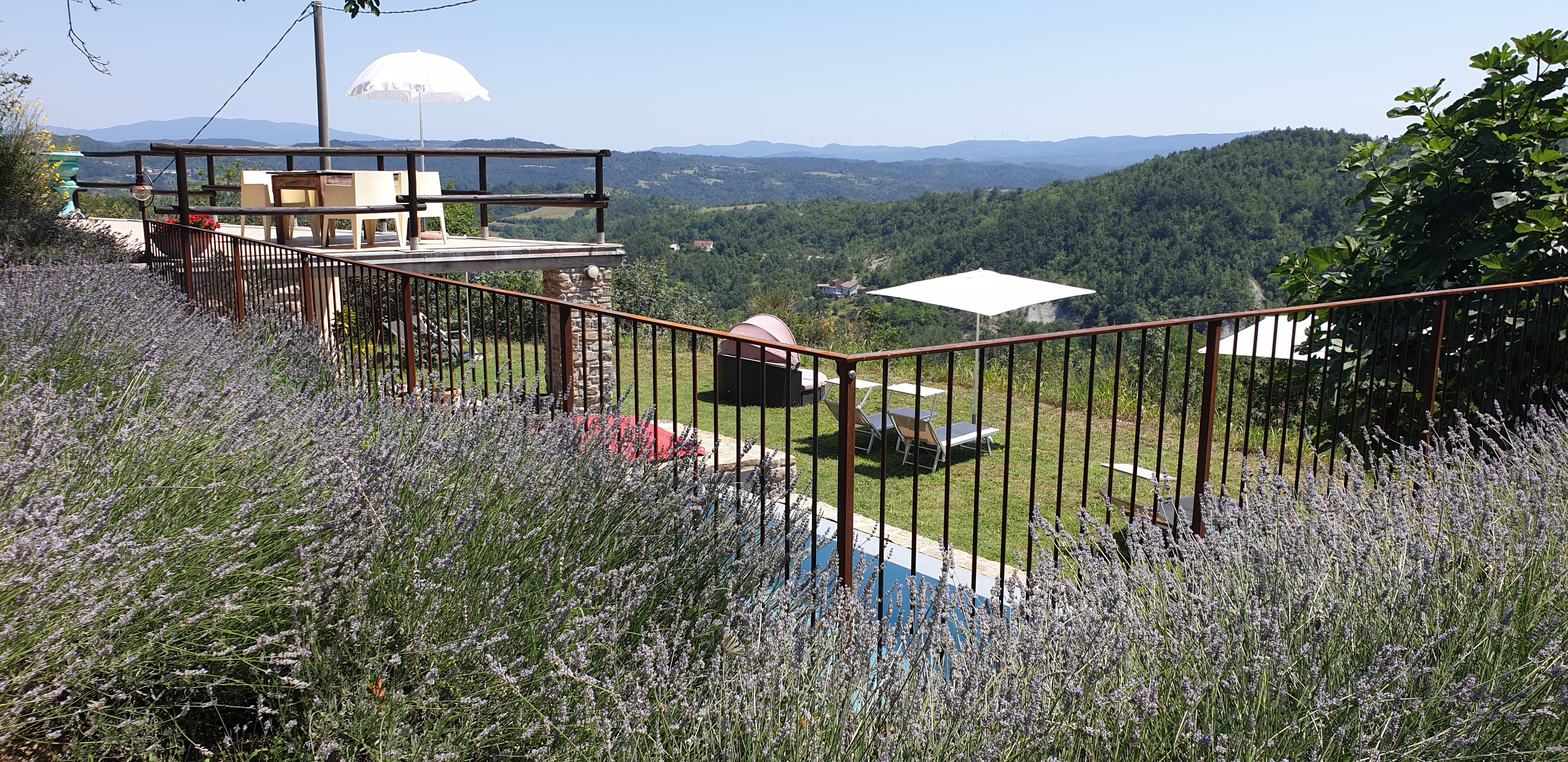- image: 14