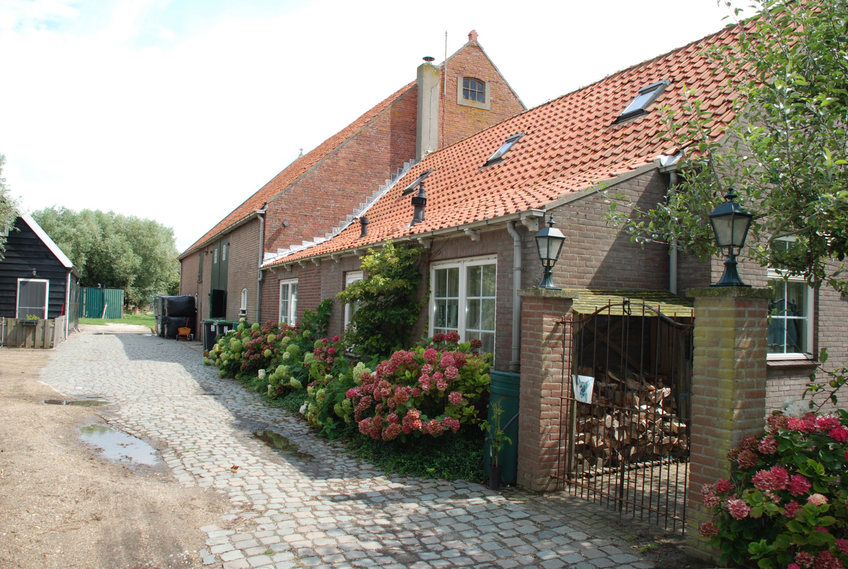 - image: 1