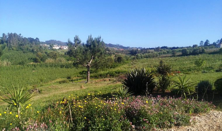 Casa nella natura a Vimeiro, Alcobaça