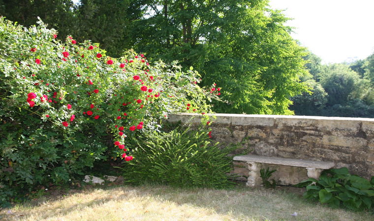 - image: 19