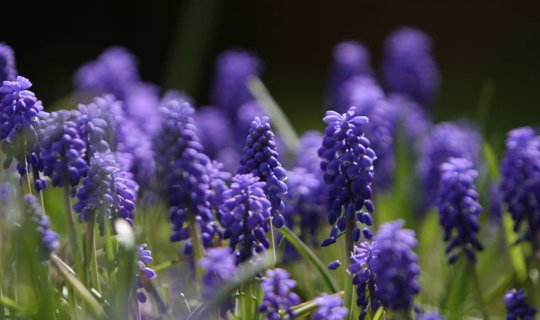 - image: 22