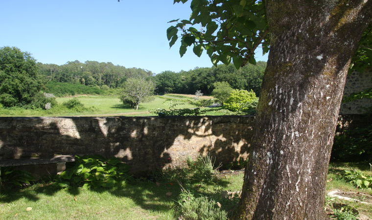 - image: 11