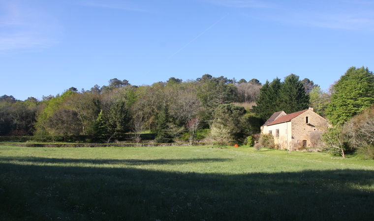 - image: 14