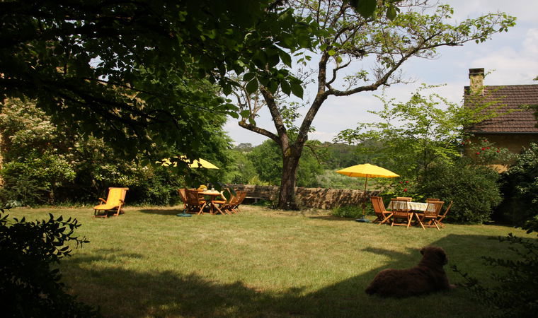- image: 12