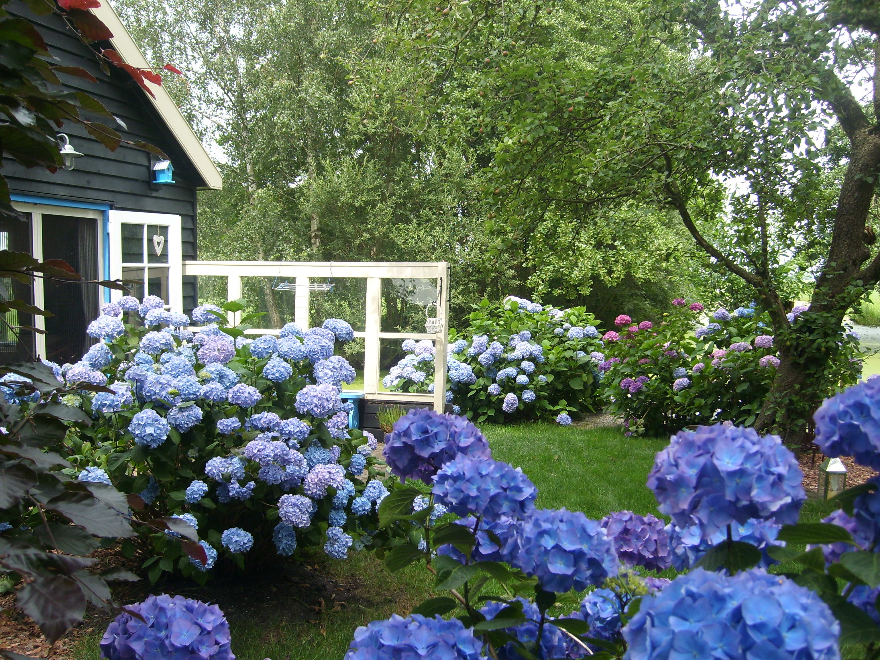 - image: 13
