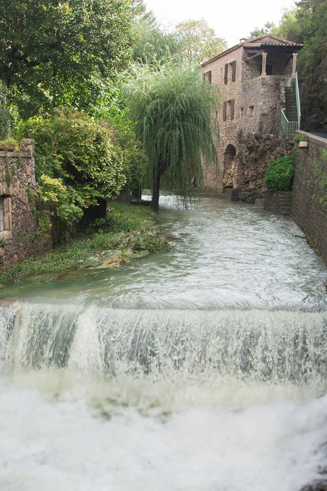 - image: 22