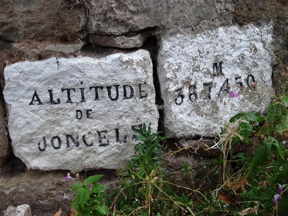 - image: 20