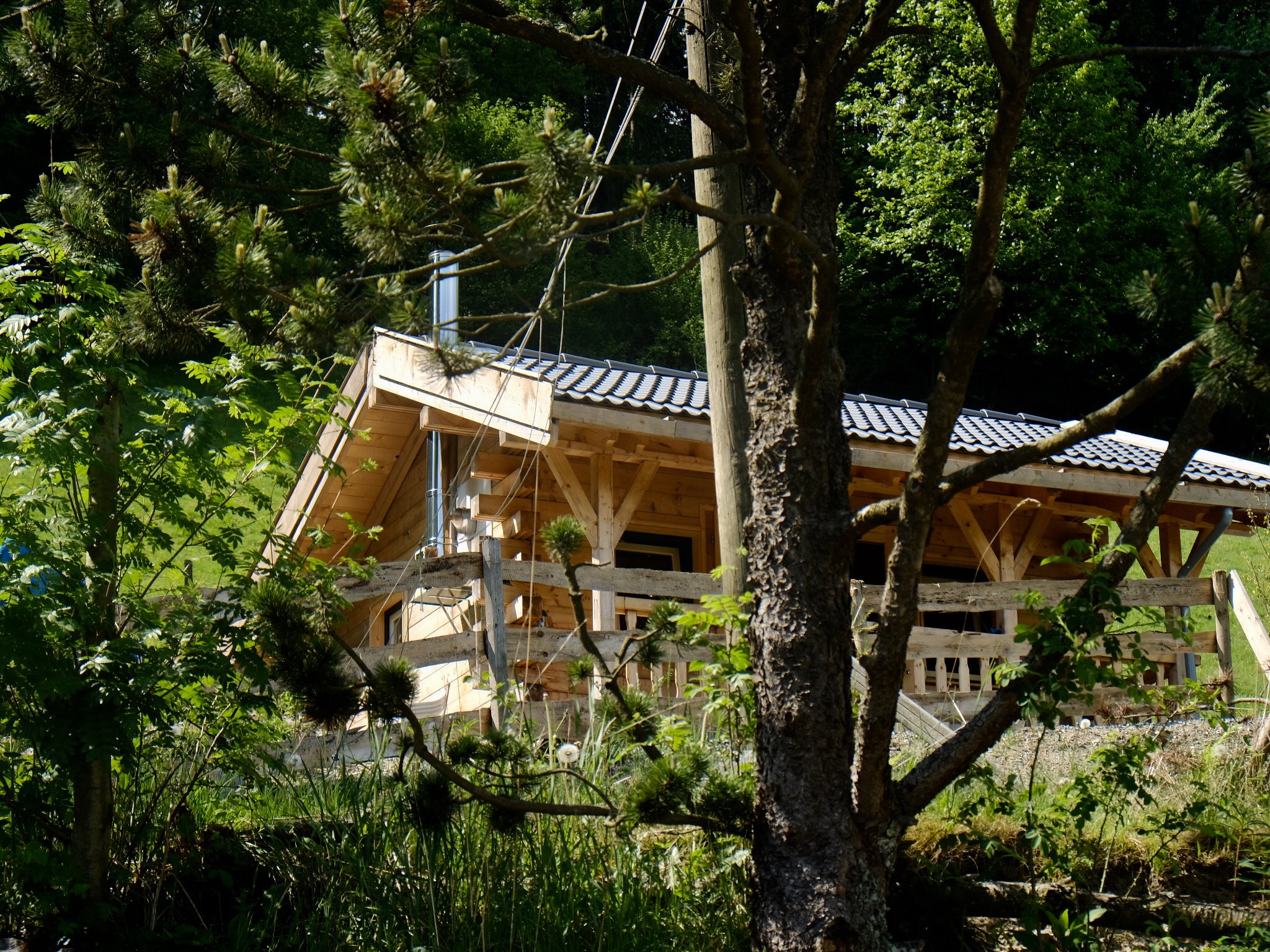 - image: 11