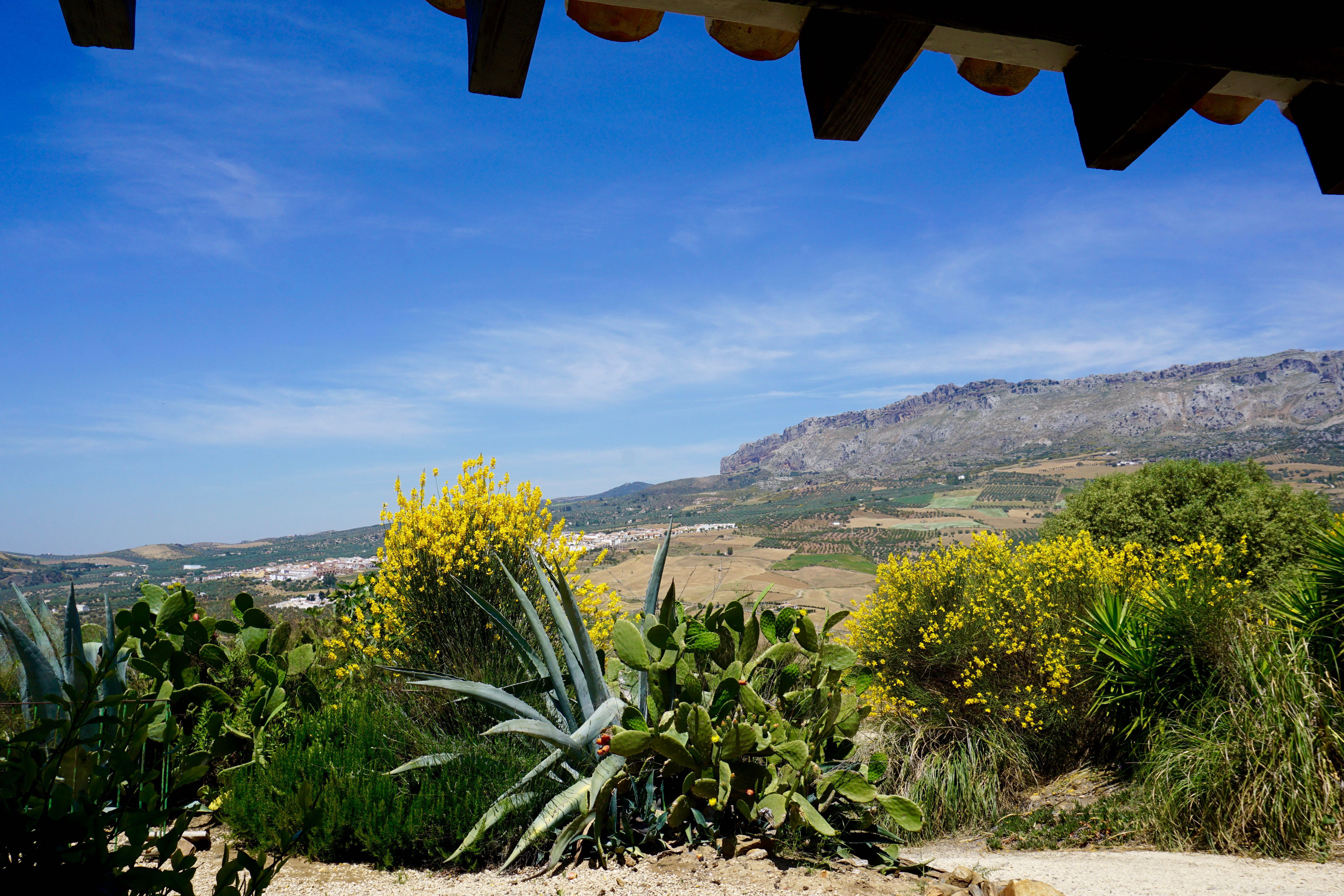 Naturhäuschen in Málaga