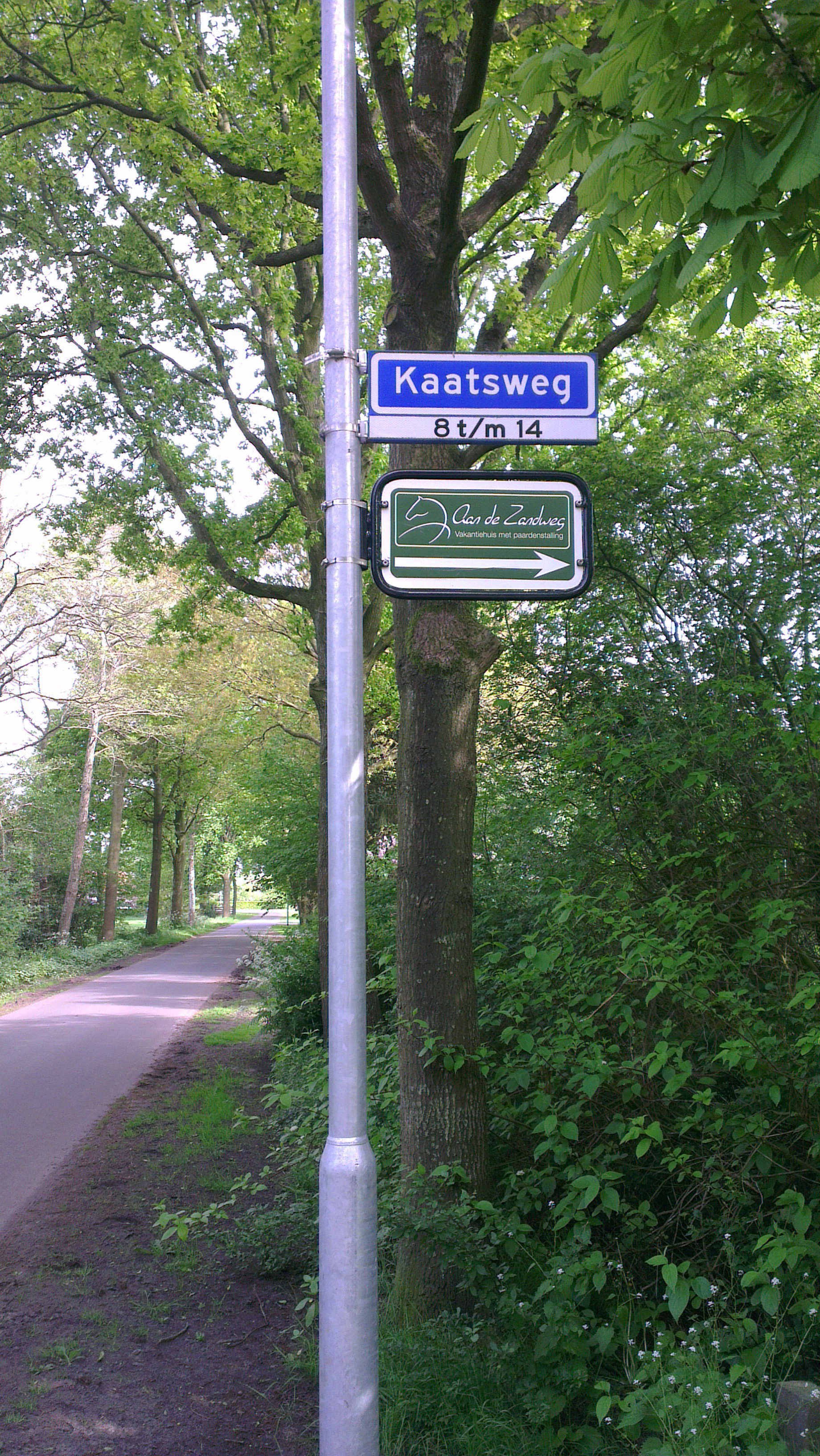 - image: 23