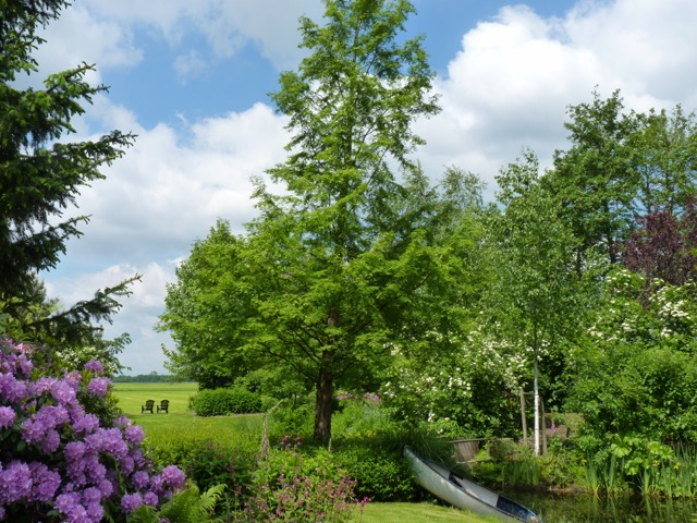 - image: 24