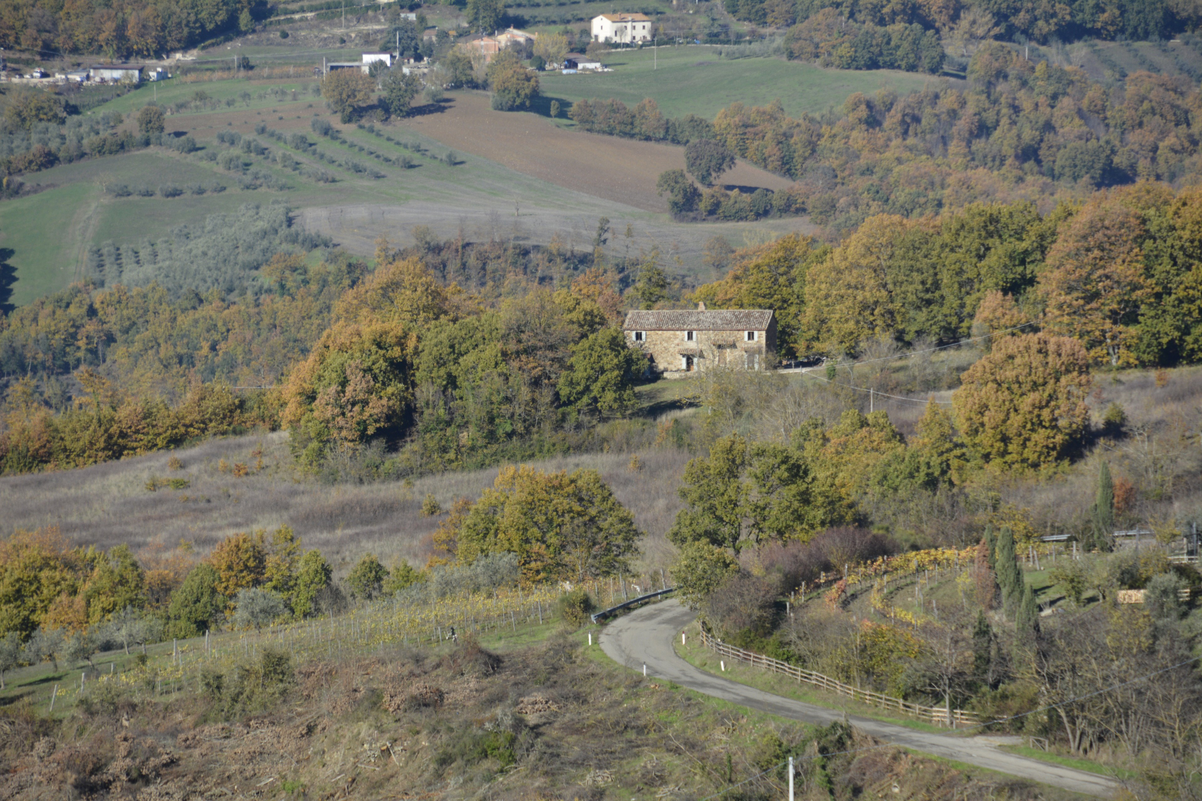 - image: 62