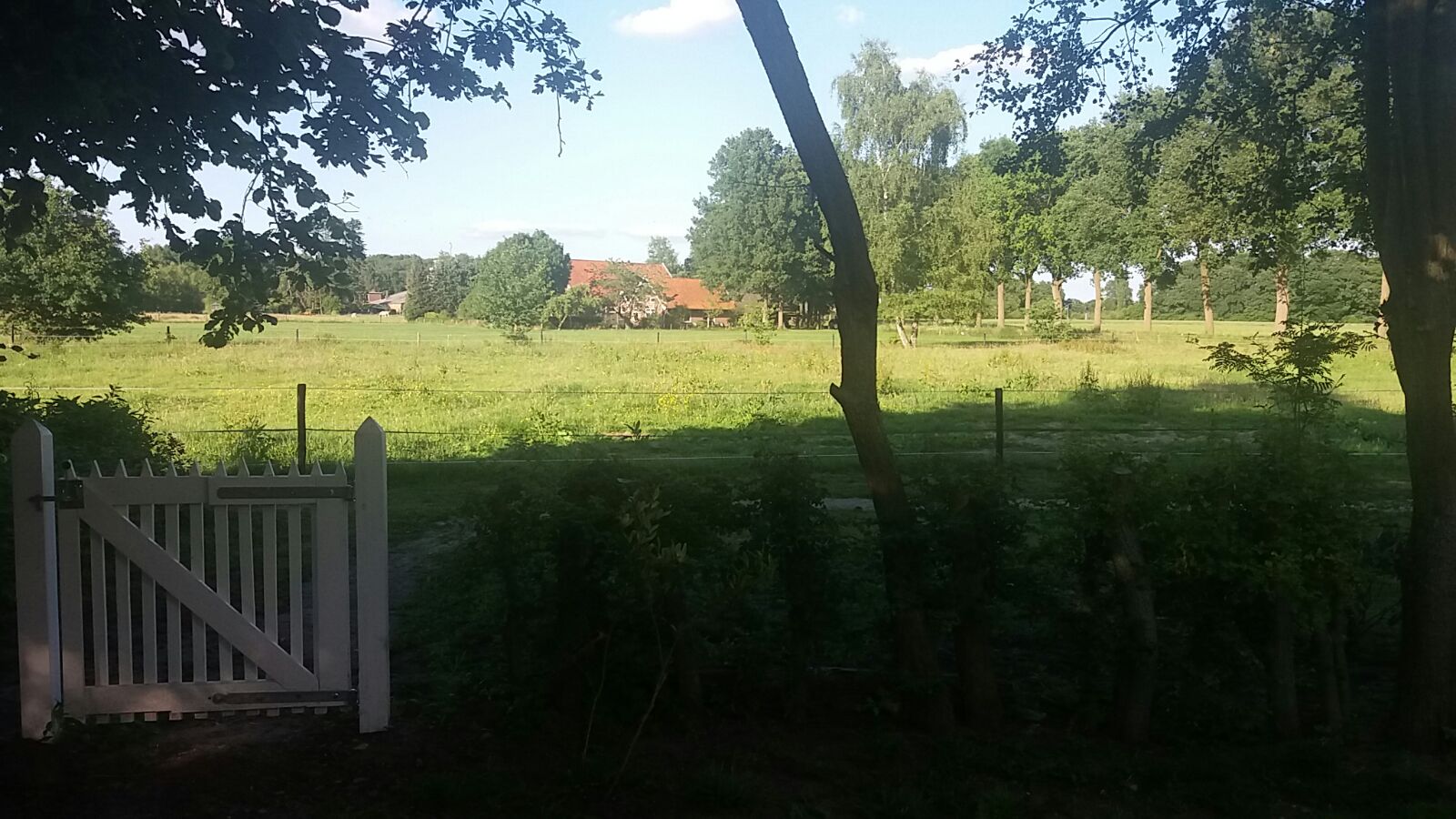 - image: 13