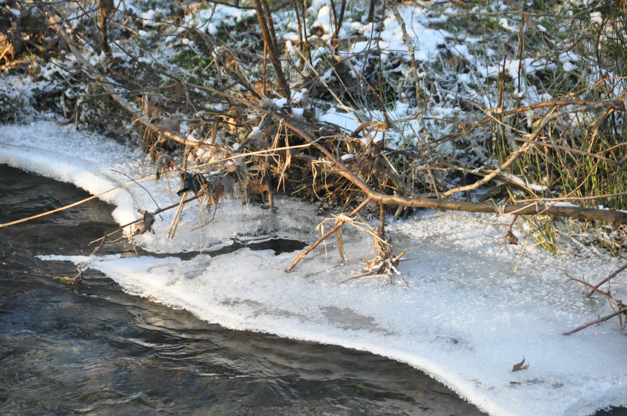 - image: 26