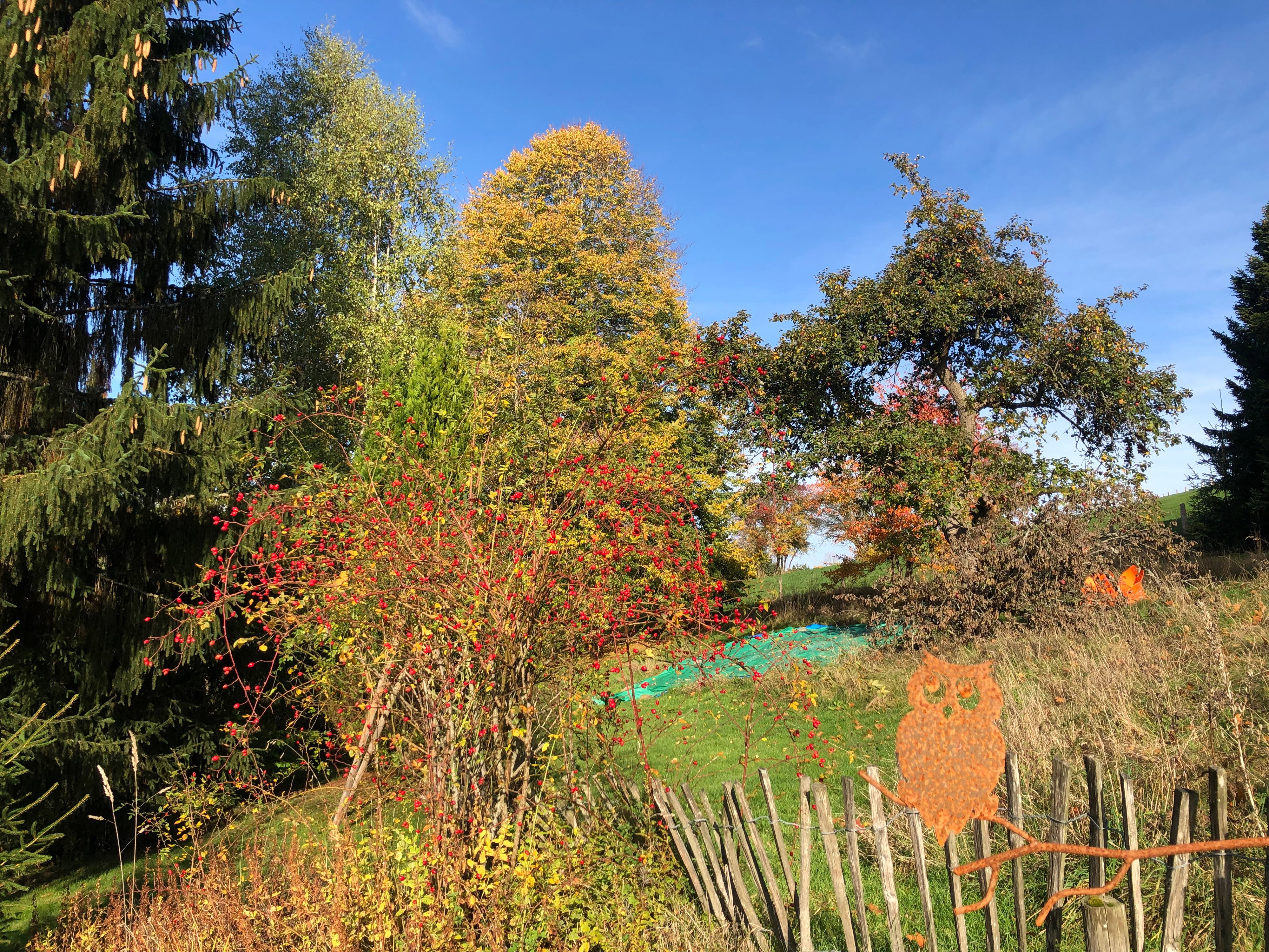 Maison nature à Redu