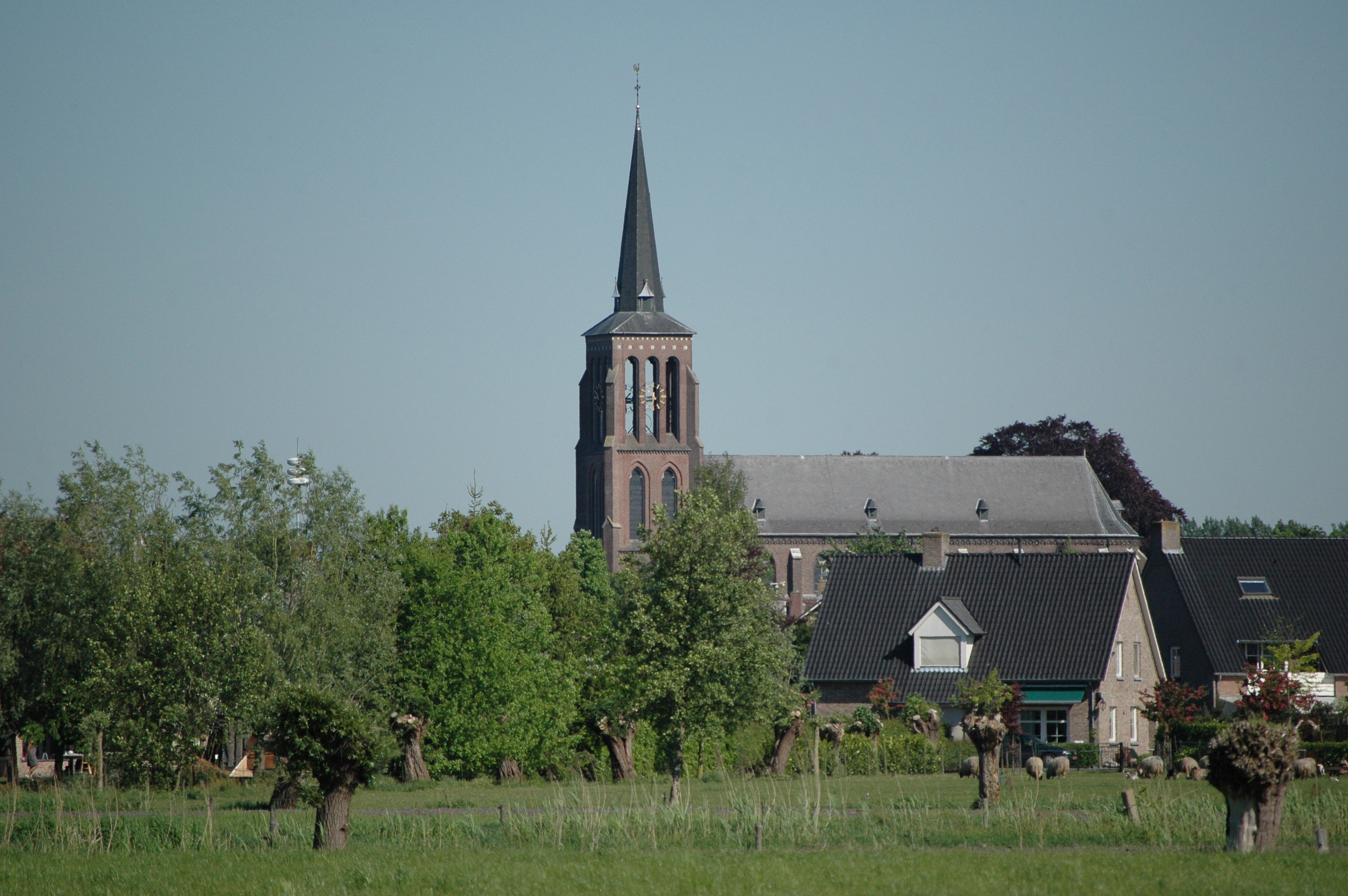 - image: 14