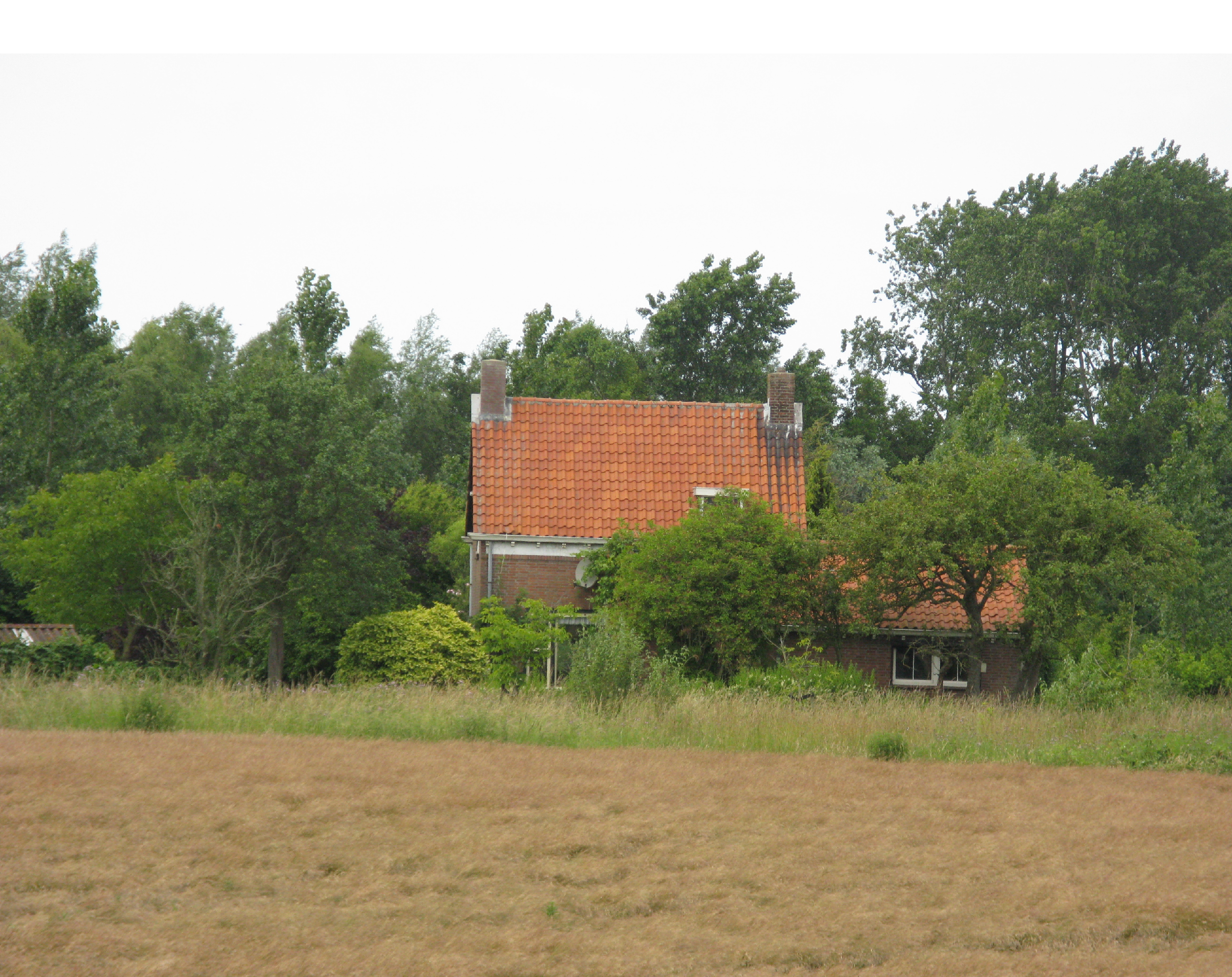 - image: 11