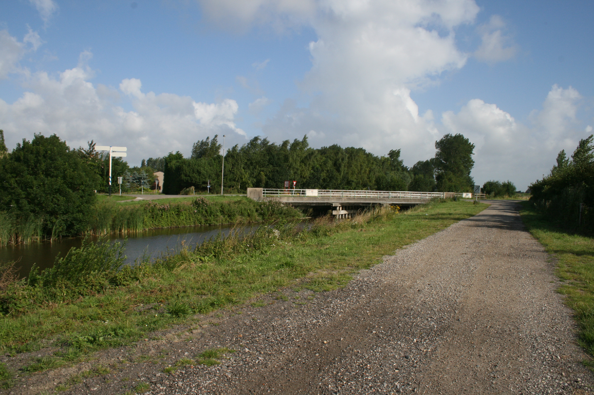 - image: 12