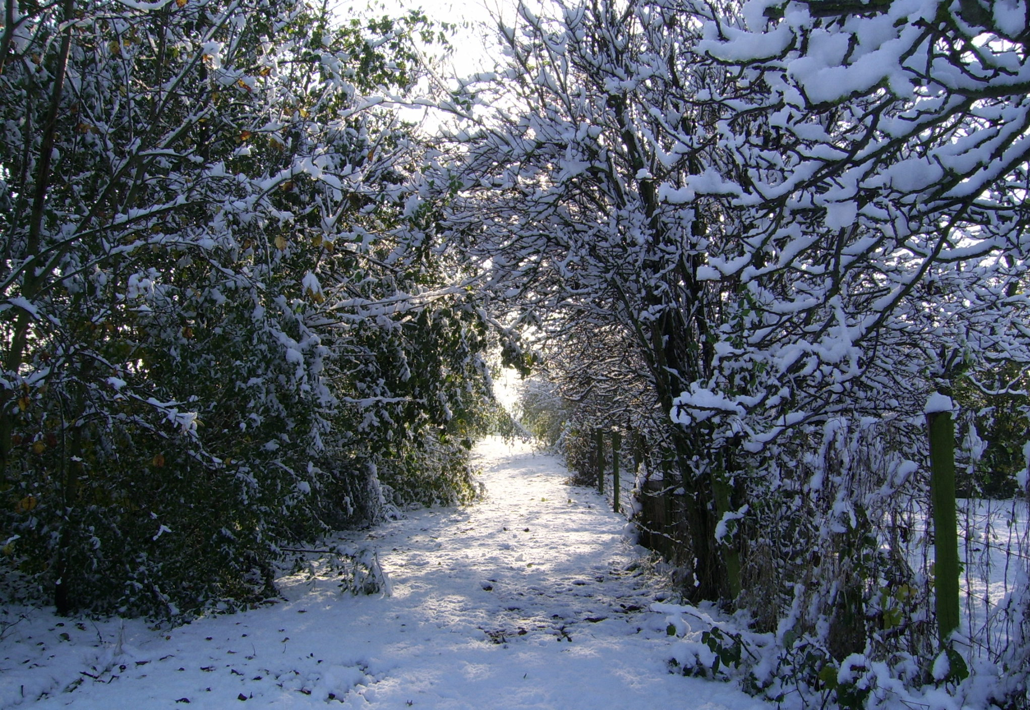 - image: 13